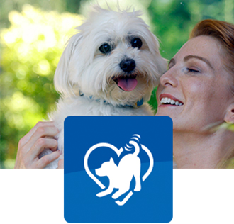 Pieni ruskeavalkoinen kissa istuu sängyllä.