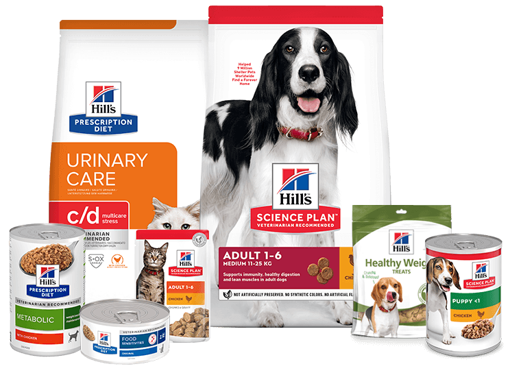 Hill's-tuotteiden ryhmittely, mukaan lukien kuivaruoka, märkäruoka ja herkut.