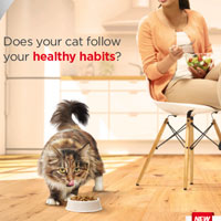 Does your cat follow your healthy habits?
